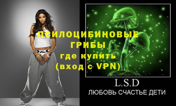 ECSTASY Гусь-Хрустальный