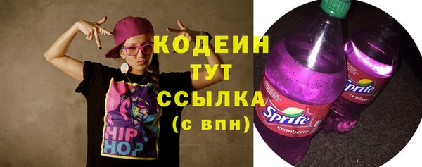соль ск Гусев
