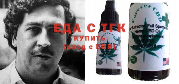 ECSTASY Гусь-Хрустальный