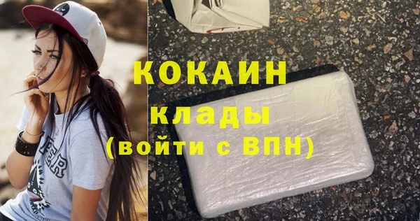 соль ск Гусев