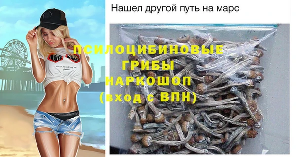 ALPHA PVP Гусиноозёрск