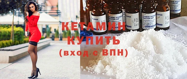 ECSTASY Гусь-Хрустальный