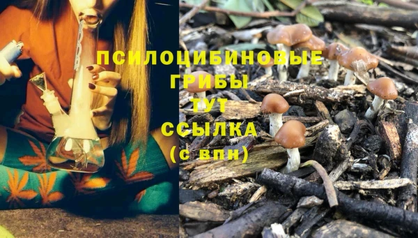 ECSTASY Гусь-Хрустальный