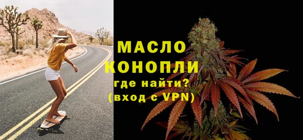 ECSTASY Гусь-Хрустальный