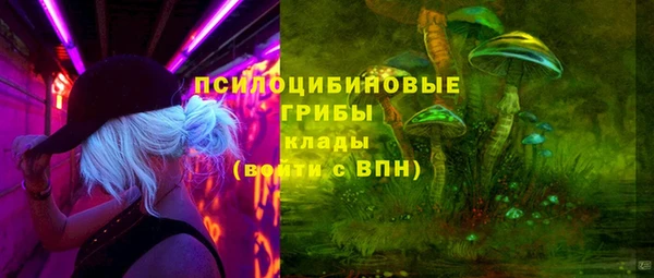 ALPHA PVP Гусиноозёрск