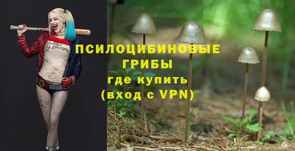 ALPHA PVP Гусиноозёрск